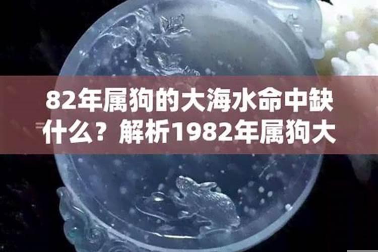 1982年属狗水瓶男