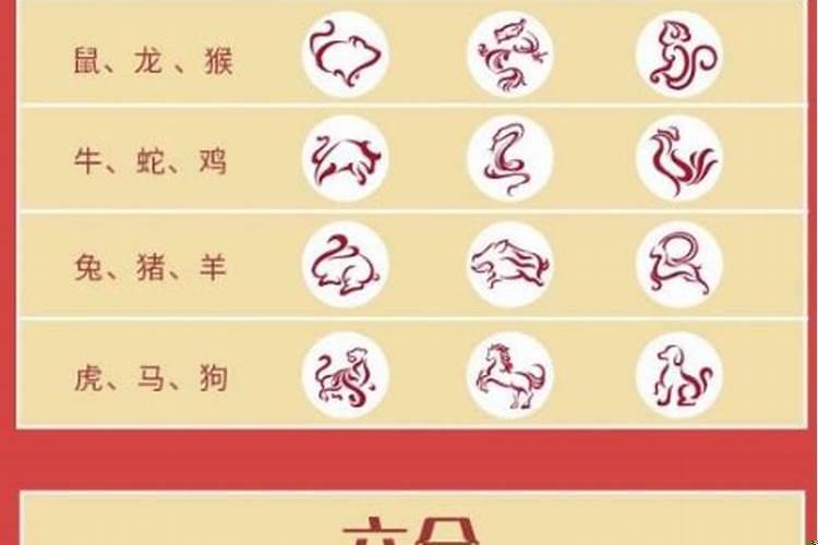 什么叫属相三合局