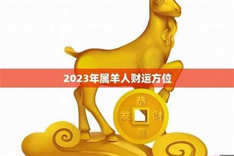 属羊的人的运气今年如何