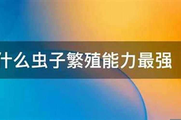 繁殖能力最强的人