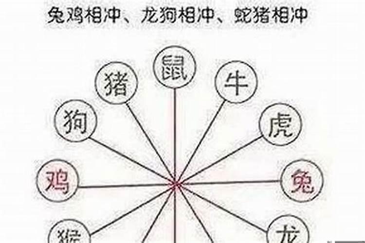 夫妻宫天干地支相克