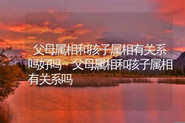 孩子的属相是根据阴历还是阳历判断