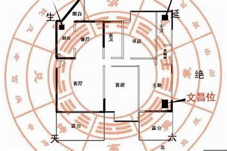 家里东方位摆什么好