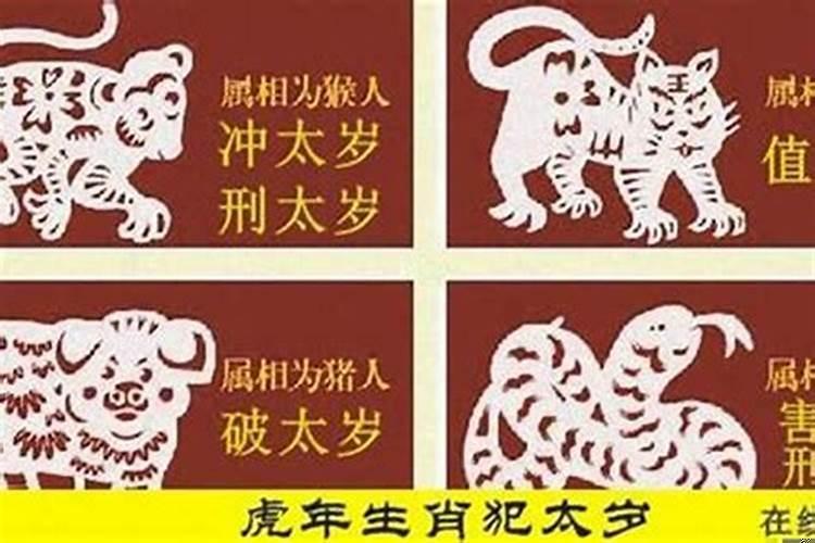 属马属年犯太岁吗