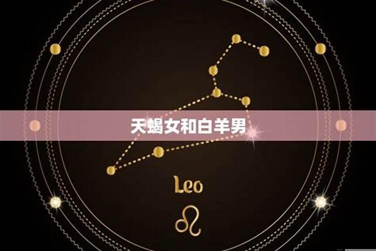 天蝎和白羊的契合点