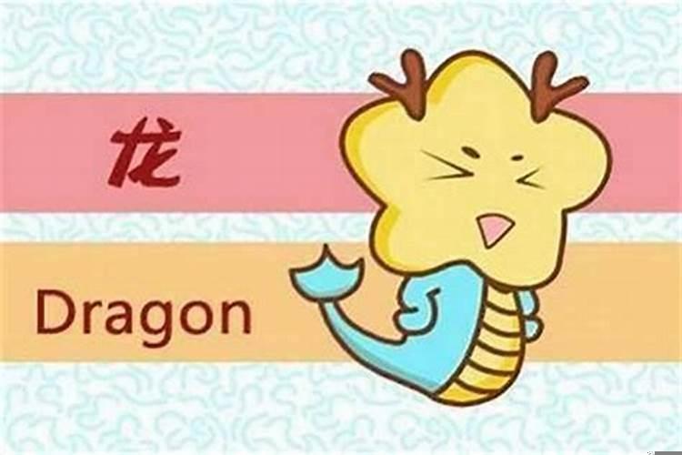 龙跟属相合不合