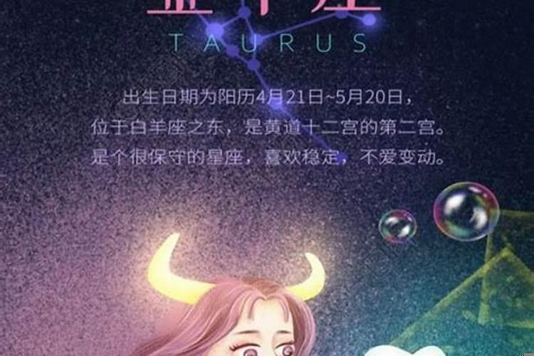 怎么追金牛座的女孩