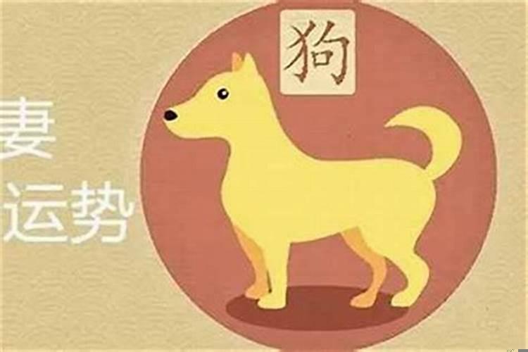94年男狗93年女鸡属相般配吗