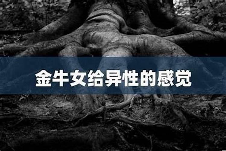 怎么追金牛座的女孩
