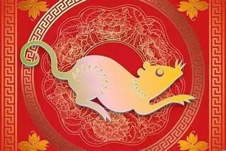 属猪在虎年的运势