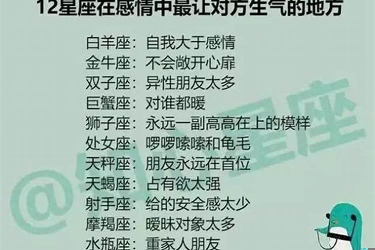 射手座龟毛