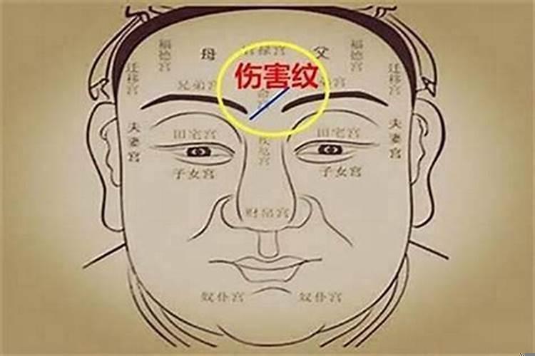如何从面相看财运
