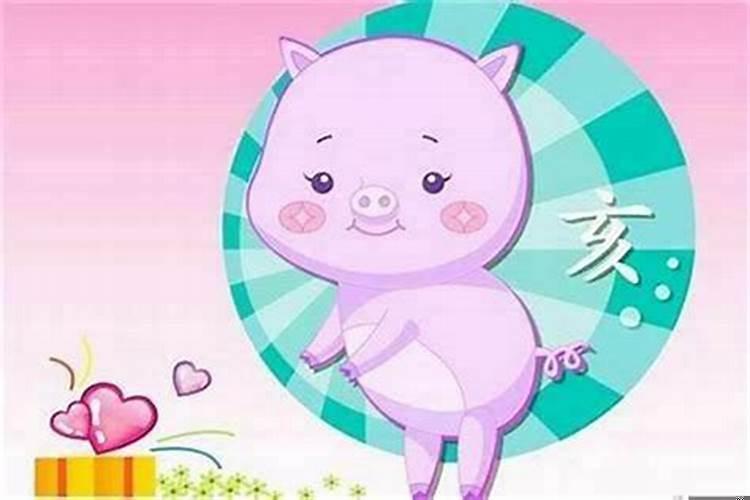 属猴的父母生了猪宝宝怎么办