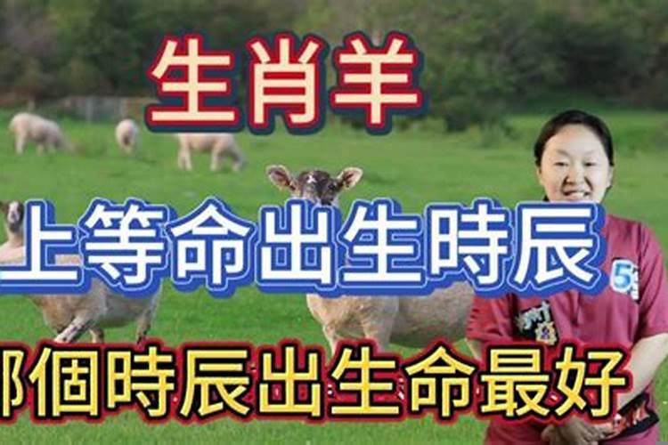 属羊人生于辰时命运