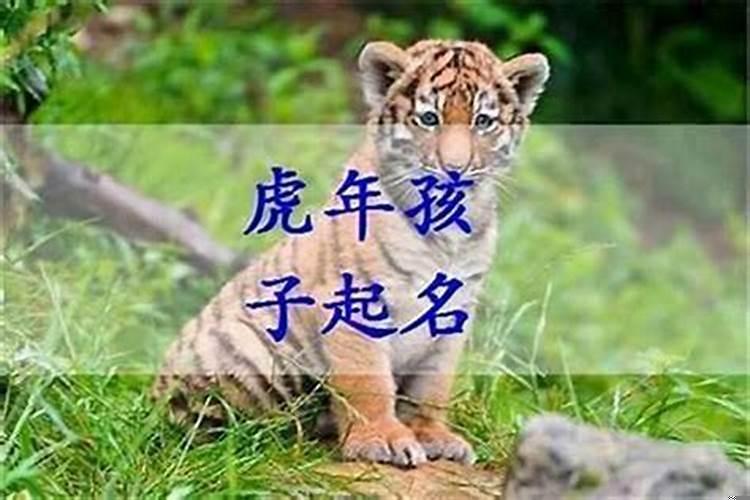 十二属相取名宜、忌