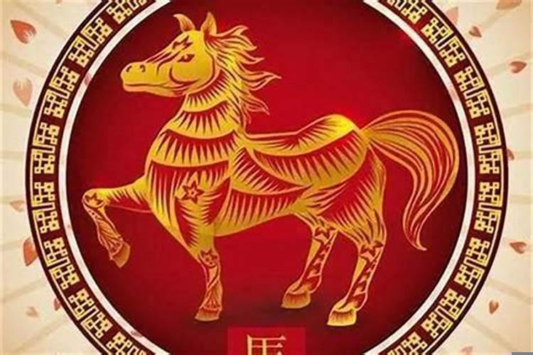 属马在2016的运势