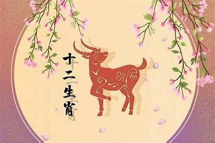 马年男与马年女结婚好不好