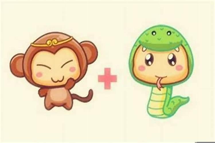 蛇与猴的婚配如何