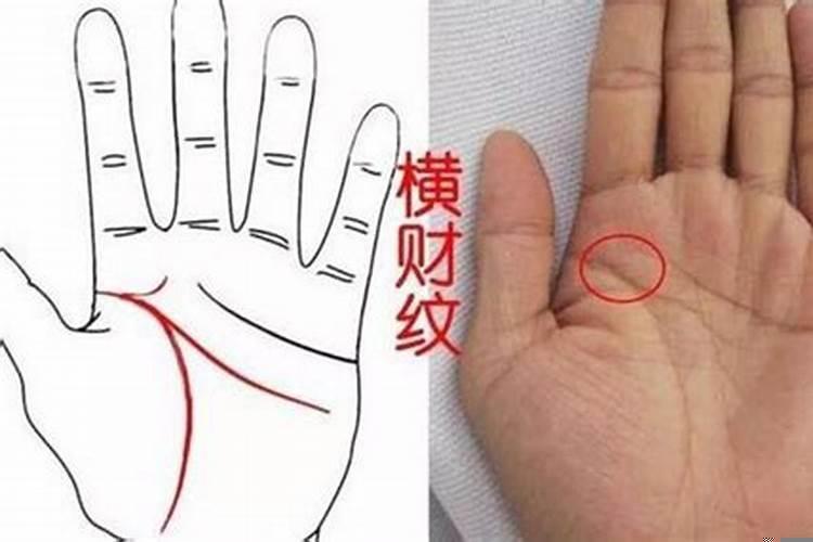 家中摆横财木