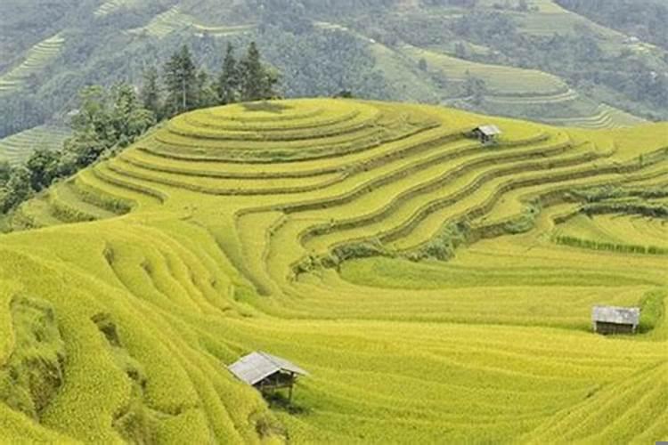 本命年奔丧需要注意啥