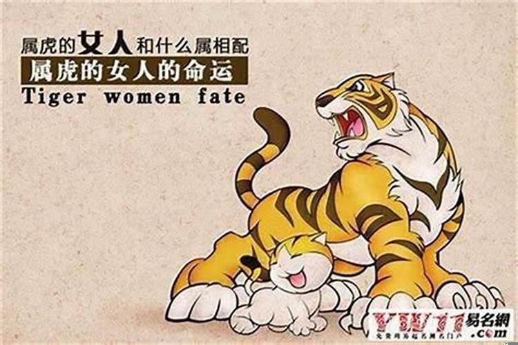 女人属虎的命运好不好