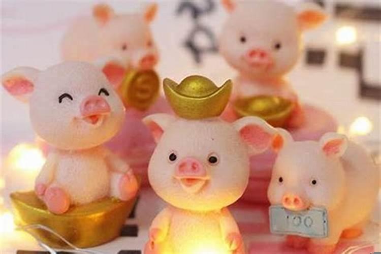 家里放什么可以进财