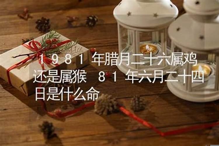 1981年农历二月初一是什么鸡命
