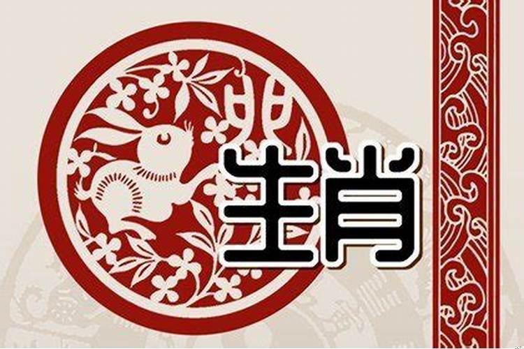 属兔的人怎么转运