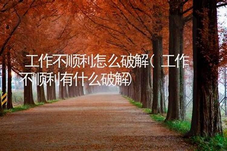 本命年失业找工作不顺