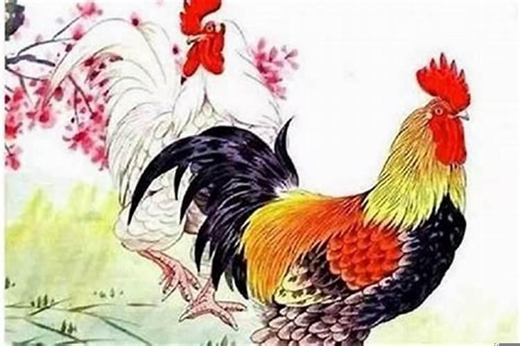 属鸡的和属鸡的能婚配吗