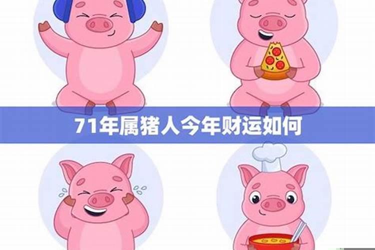 71年属猪2022的运势