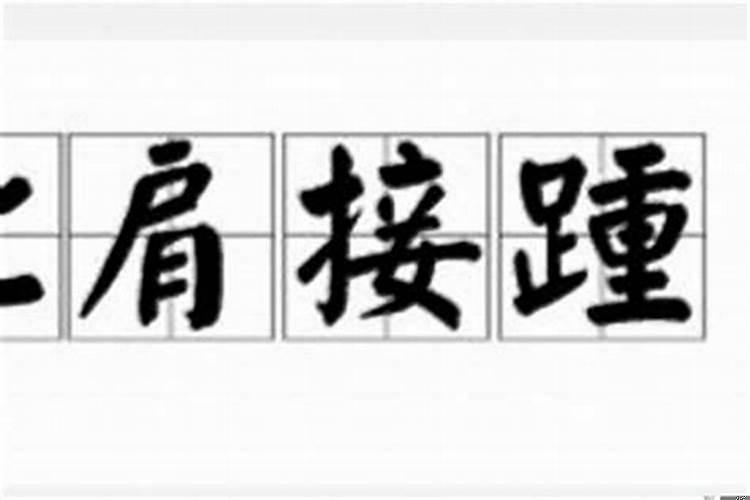 比肩继踵和比肩接踵意思一样吗对吗