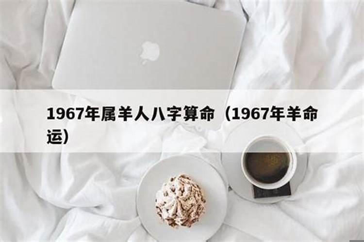 属羊67年出生今年运势