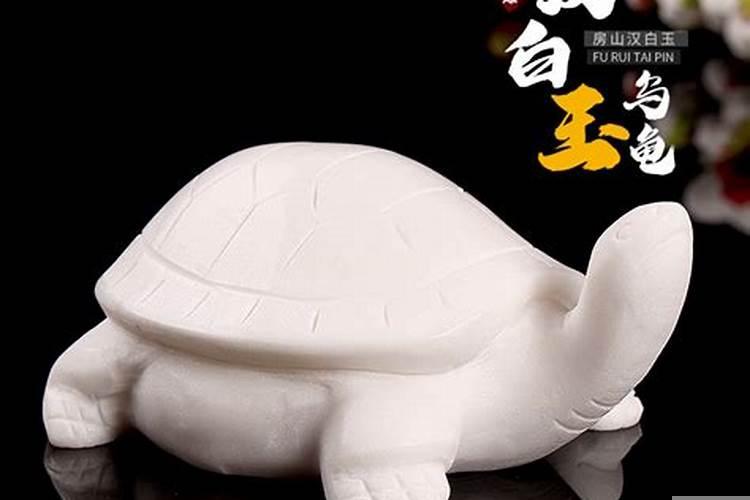 祖坟能不能埋乌龟