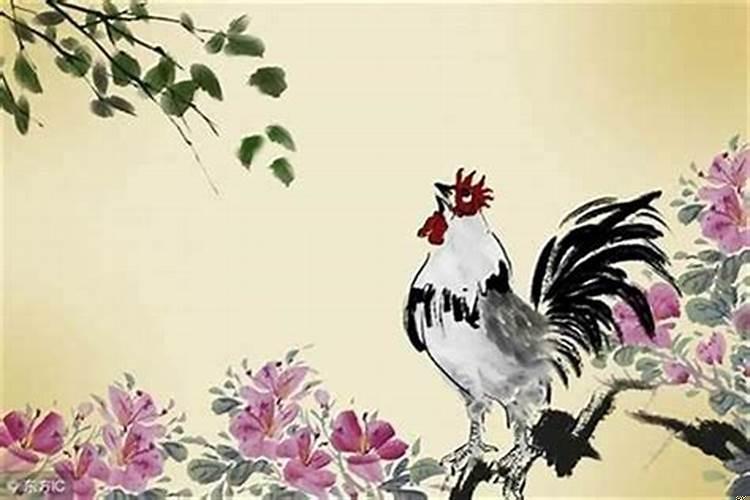 属鸡得幸运数字