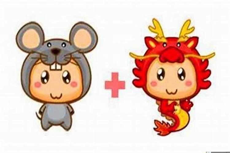 龙蛇鸡牛一家四口相合吗