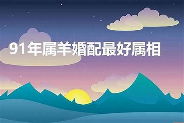 91年男属羊婚配属相