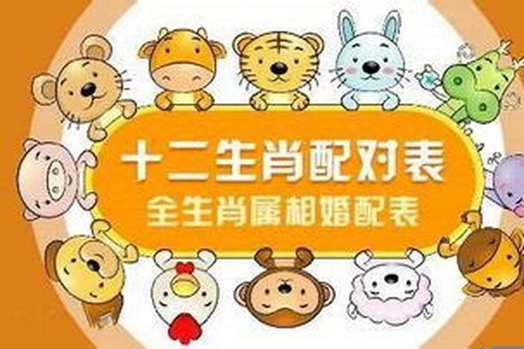 生肖婚配四大忌讳