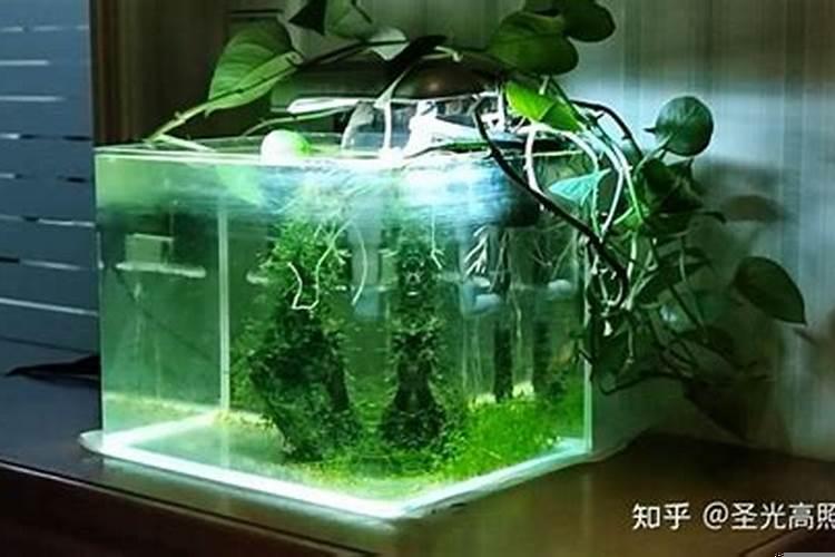 房子有后门风水好吗