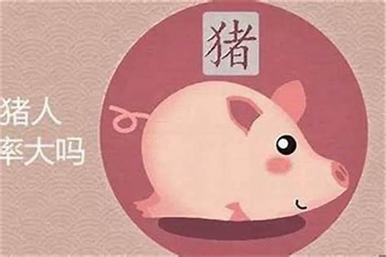 71年属猪2022的运势