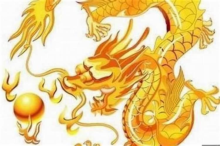 属龙和属虎的能相配吗