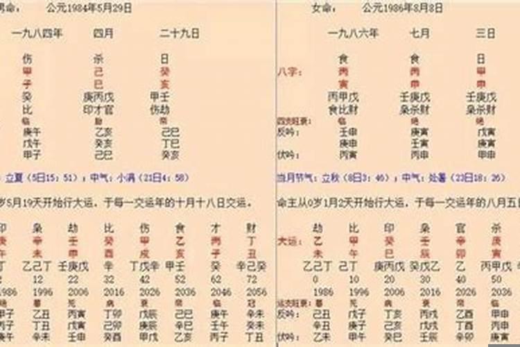 丁巳戊午己未大运