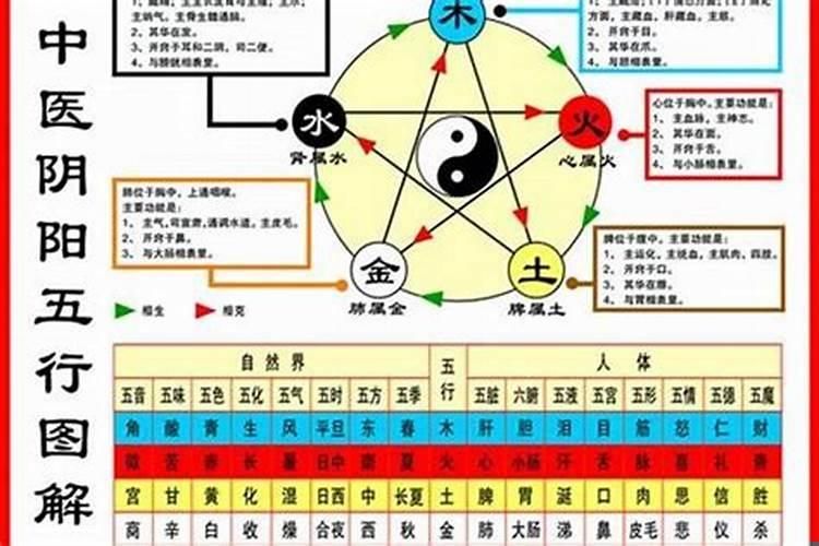 怎么看自己是五行的什么命