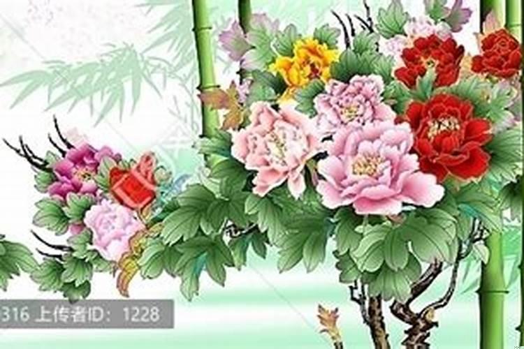 黄金节节高的寓意和象征
