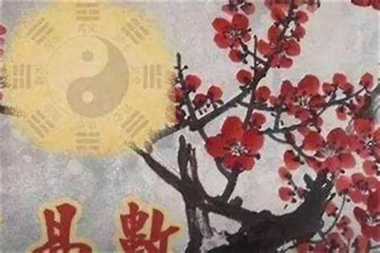梅花易数婚姻解卦实例