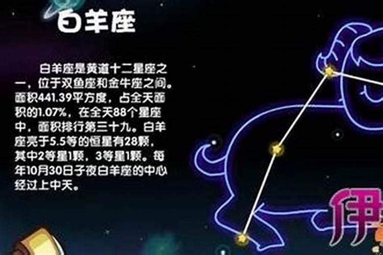 射手座为什么跟白羊座最配
