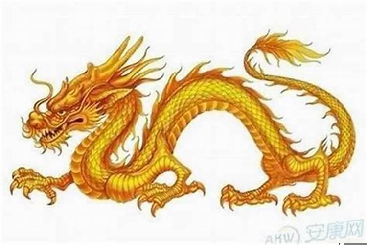 属龙男和属狗女相配吗