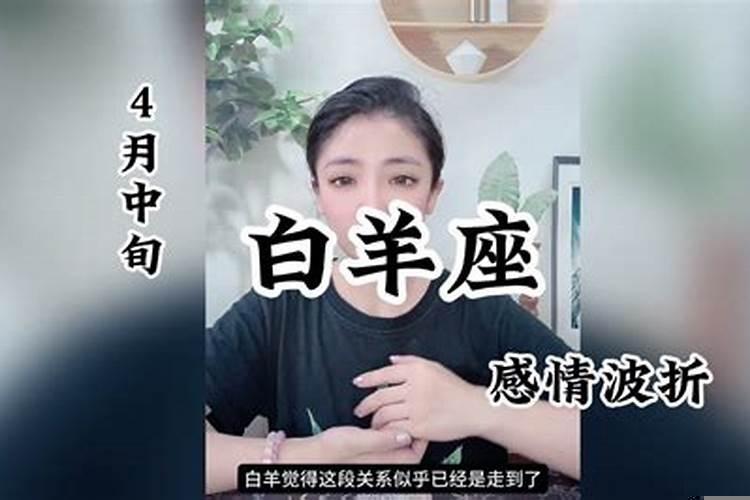 白羊无情吗