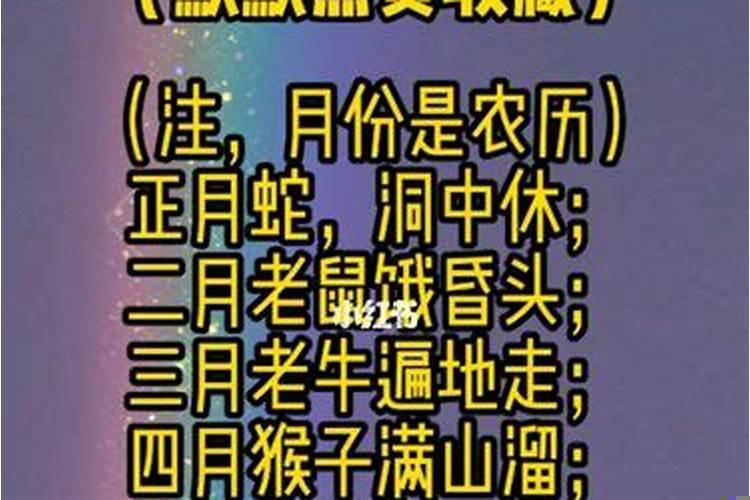 婚姻该如何相处