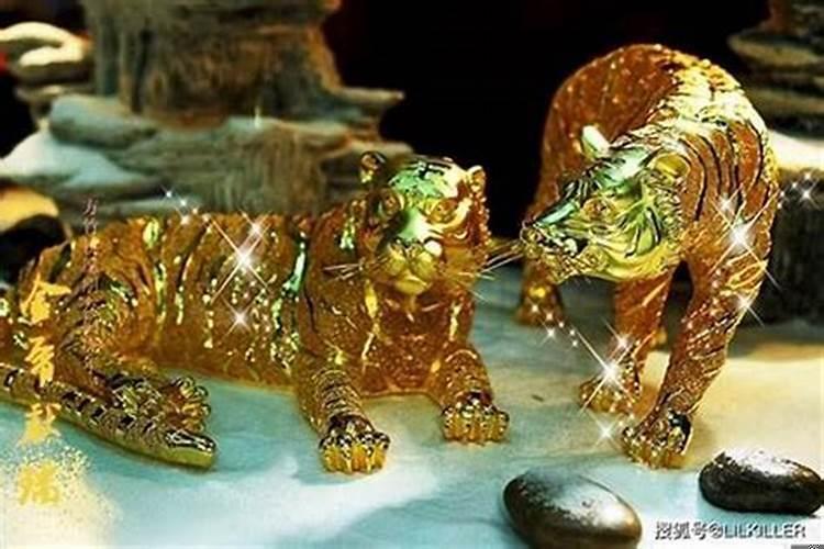 1986年虎是火命吗